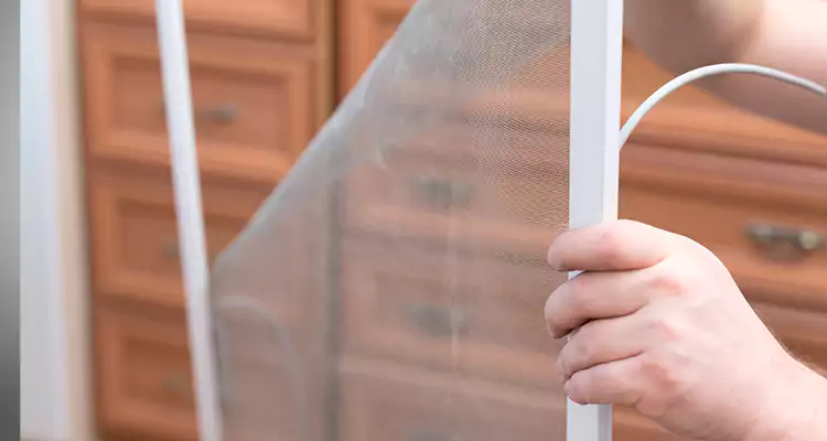 Privacy Mesh Screen Door Installation in Palo Alto, CA